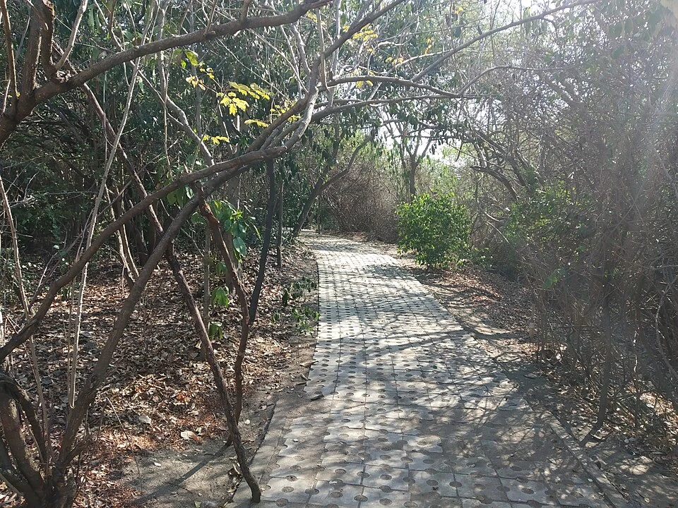 A shaded path inside Adyar Eco Park at Tholkappia Poonga